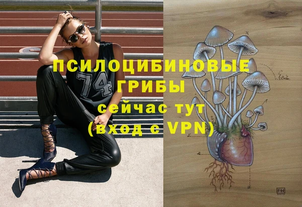 первитин Арсеньев