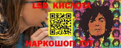 прущие грибы Кандалакша