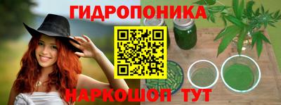 PSILOCYBIN Канаш