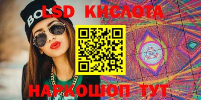 прущие грибы Кандалакша