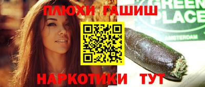 прущие грибы Кандалакша