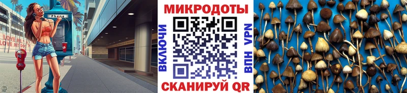 блэк спрут как зайти  сколько стоит  Красноярск  Галлюциногенные грибы GOLDEN TEACHER 