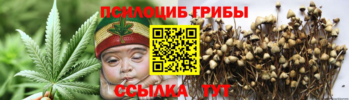 Псилоцибиновые грибы Magic Shrooms  Вход с VPN  Красноярск 